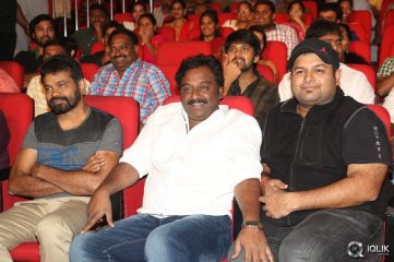Tiger Movie Audio Launch